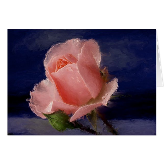 Midnight Rose (Front Horizontal)