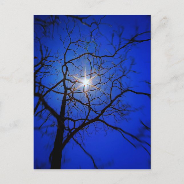 Midnight Sun Postcard (Front)