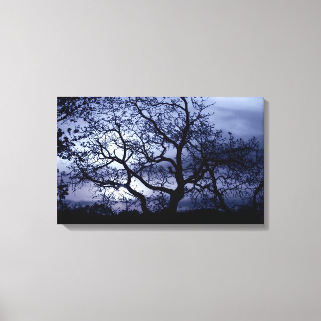 Midnight Sunset Canvas Print (Front)