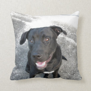 Midnight the Black Lab Smiles Cushion