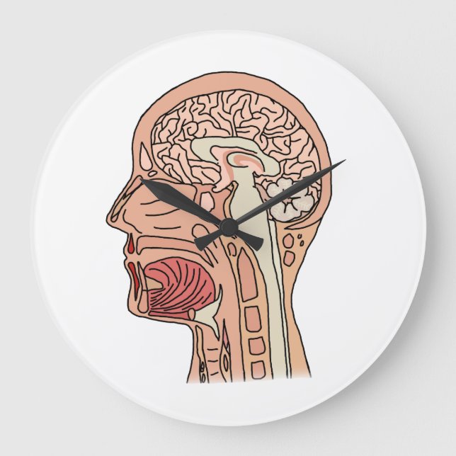 Midsagittal Brain Cross Section Large Clock (Front)