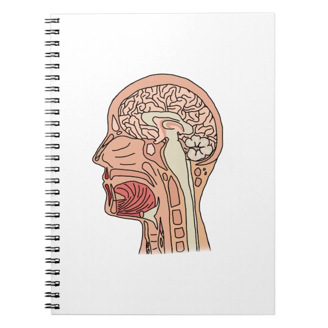 Midsagittal Brain Cross Section Notebook (Front)