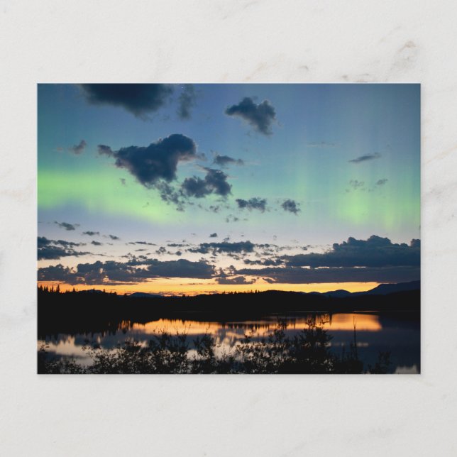 Midsummer Aurora borealis over Lake Laberge, Yukon Postcard (Front)