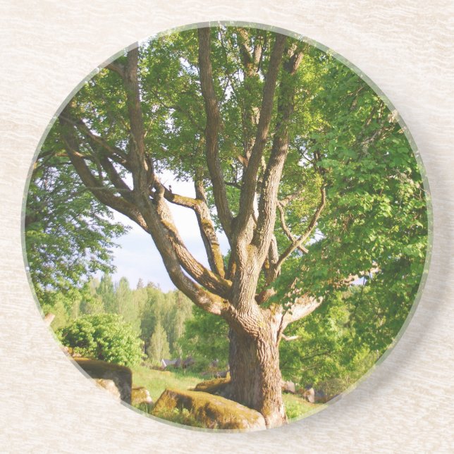 Midsummer Light Småland Coaster (Front)