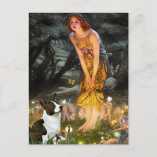 Midsummers Eve - Cardigan Welsh Corgi Postcard