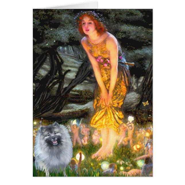 Midsummers Eve - Keeshond (F) (Front)