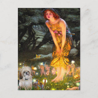 Midsummers Eve - Shih Tzu (P) Postcard