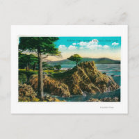 Midway Point on Seventeen Mile Drive