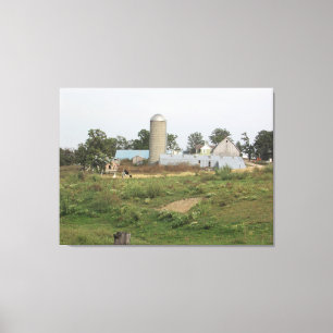 Midwest Mama and Baby alpaca  Photography Wall Art