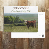 Midwest Photography | Beautiful Cow and Scenery