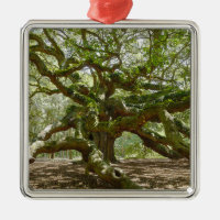 Mighty Angel Oak