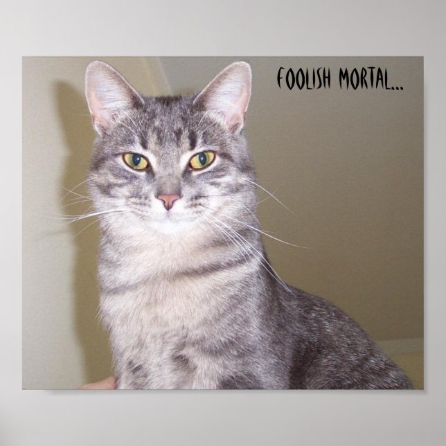 Mighty Feline, Foolish mortal... Poster (Front)