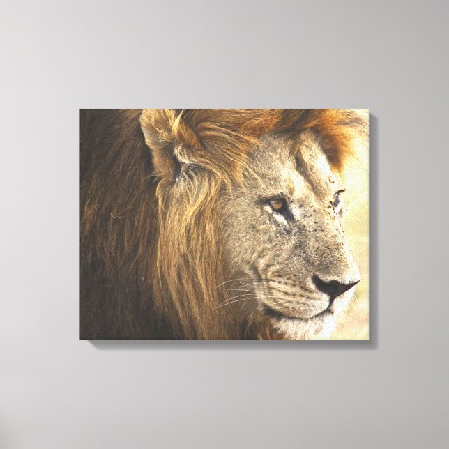 Mighty Lion Canvas Print (Front)