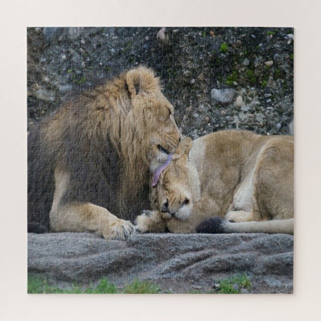 Mighty Lion Love Jigsaw Puzzle (Vertical)