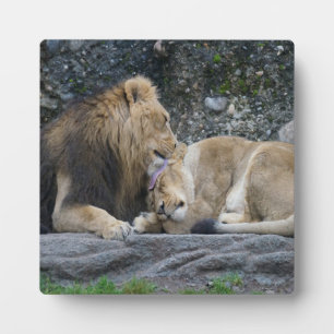 Mighty Lion Love Plaque