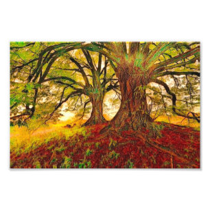 Mighty Oak Photo Print