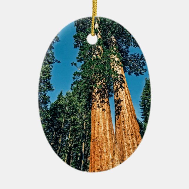 Mighty Redwood Ceramic Tree Decoration (Front)