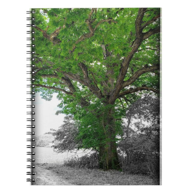 Mighty Tree Notebook (Front)