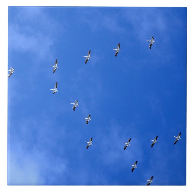 Migrating birds tile (Front)