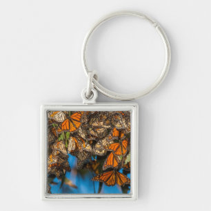 Migrating monarch butterflies cling to leaves key ring
