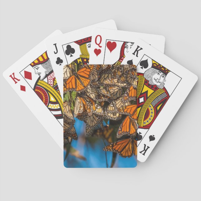 Migrating monarch butterflies cling to leaves playing cards (Back)
