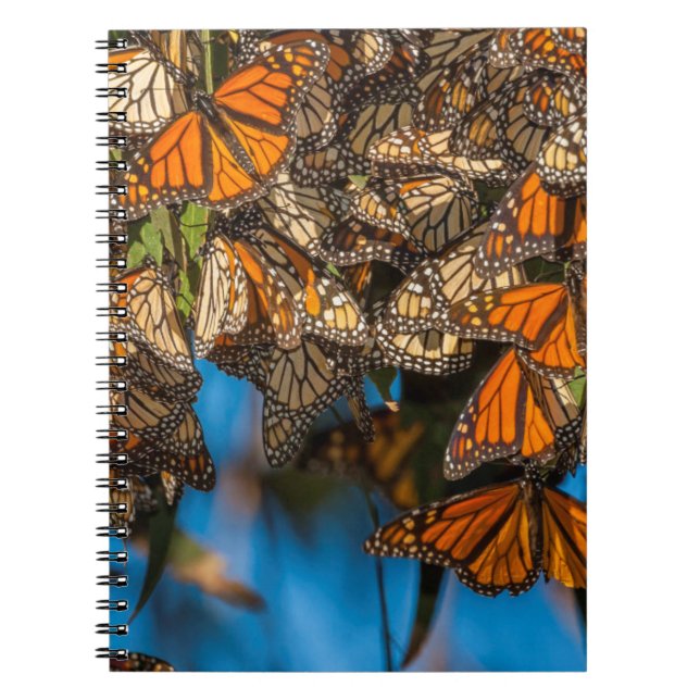 Migrating monarch butterflies cling to leaves spiral notebook (Front)