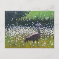 Migrating Sandhill Cranes