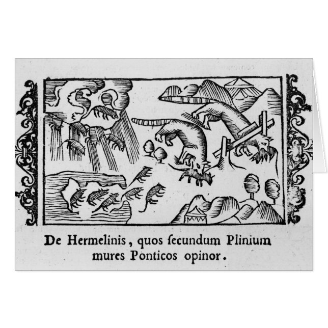 Migration of lemmings (Front Horizontal)