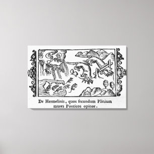 Migration of lemmings canvas print