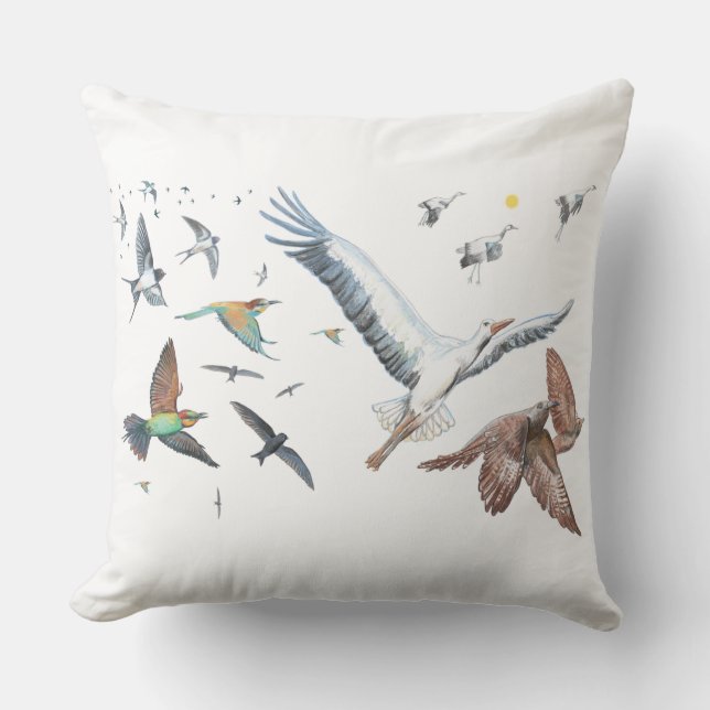 Migratory birds tracing their flights Illustration Cushion (Front)