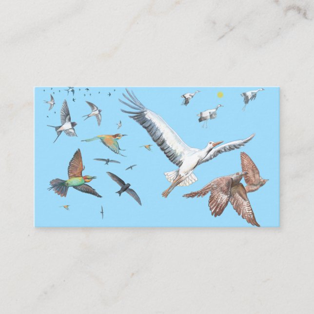 Migratory birds tracing their flights Illustration Enclosure Card (Front)