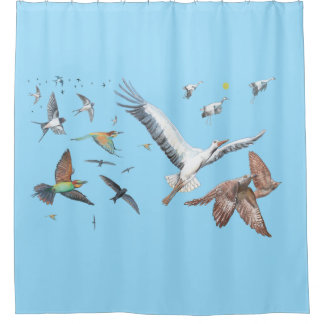 Migratory birds tracing their flights Illustration Shower Curtain