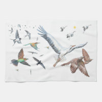 Migratory birds tracing their flights Illustration