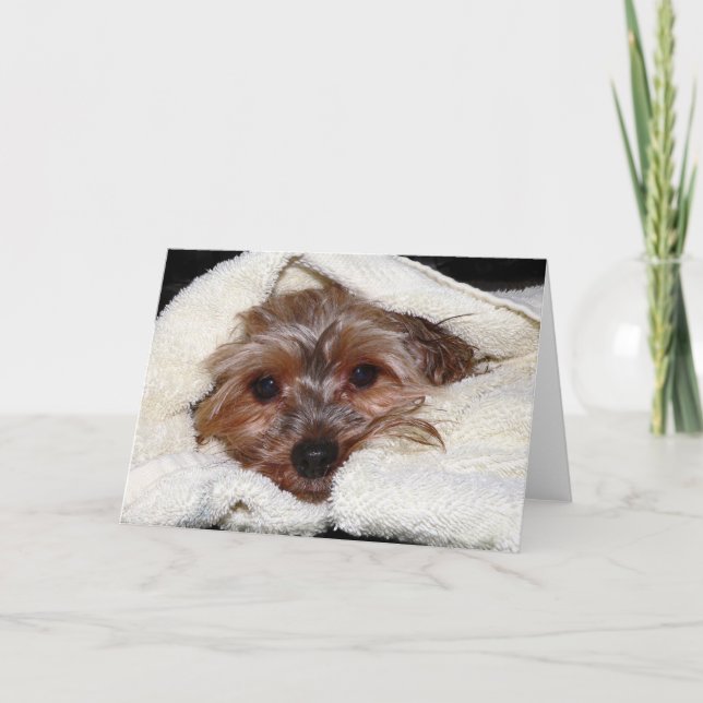 Mikayla Card (Front)