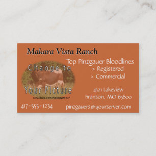 MikeCard 2- customise both sides Business Card