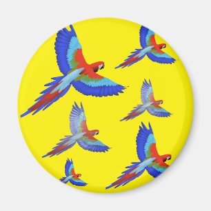 Mikitiez parrot hawaii summersunset beach spring magnet