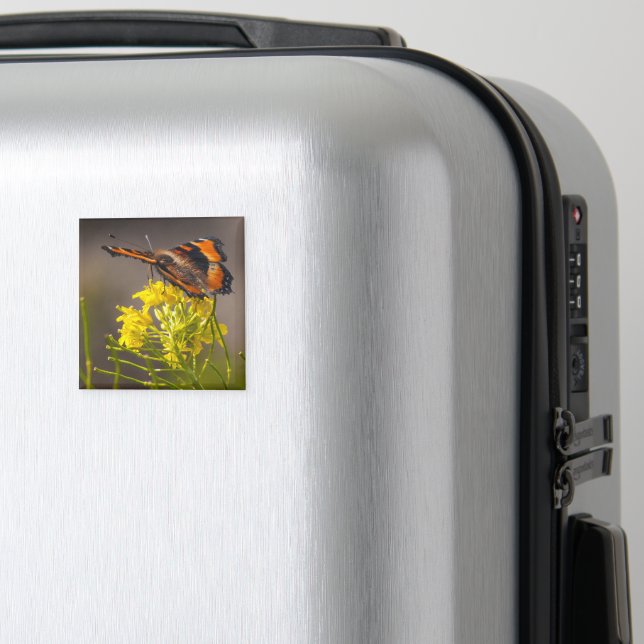 Milbert's Tortoiseshell Butterfly Close Up Magnet (In Situ (Luggage))