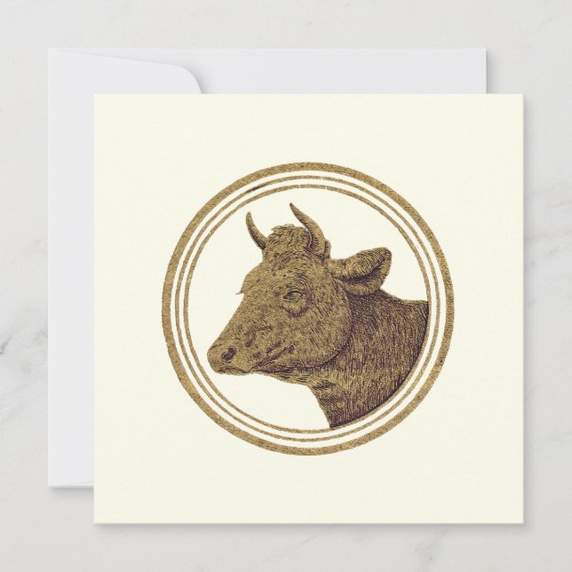 Milch Cow (Milk Cow) Easy to Edit Background Colou (Front)