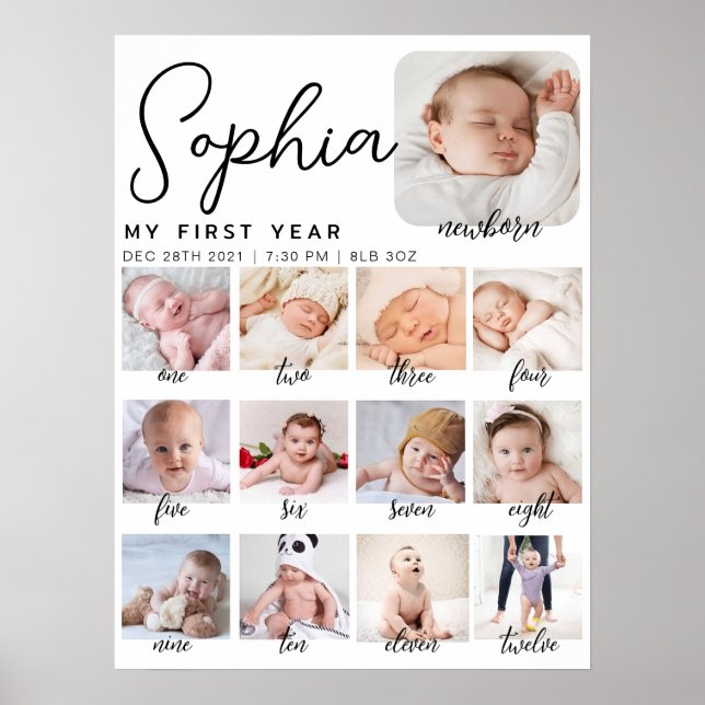 milestone birthday sign, printable baby's first  poster (Front)