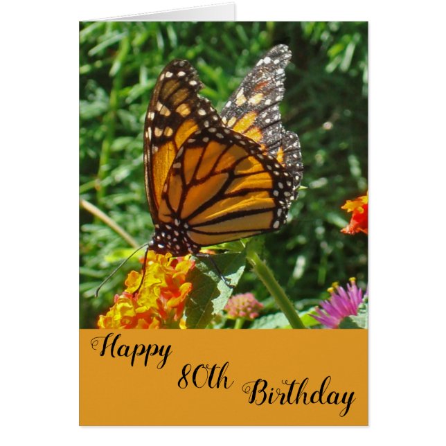 Milestone Birthday Wishes Orange Monarch Butterfly (Front)