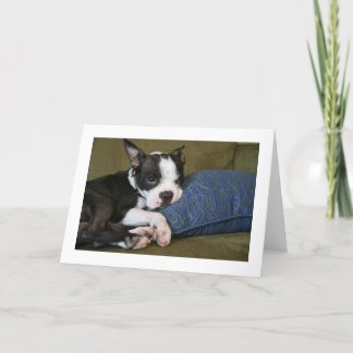 Miley is annoyed card