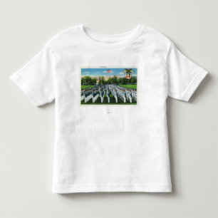Military Academy Dress Parade Toddler T-Shirt