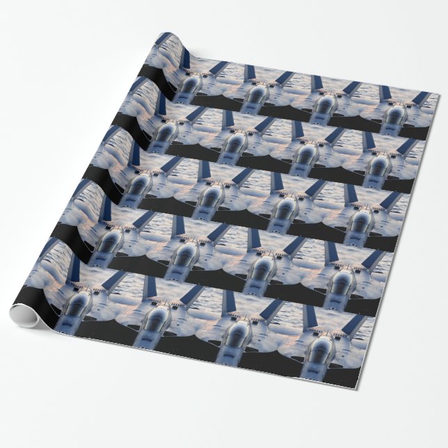 Military jet wrapping paper (Unrolled)