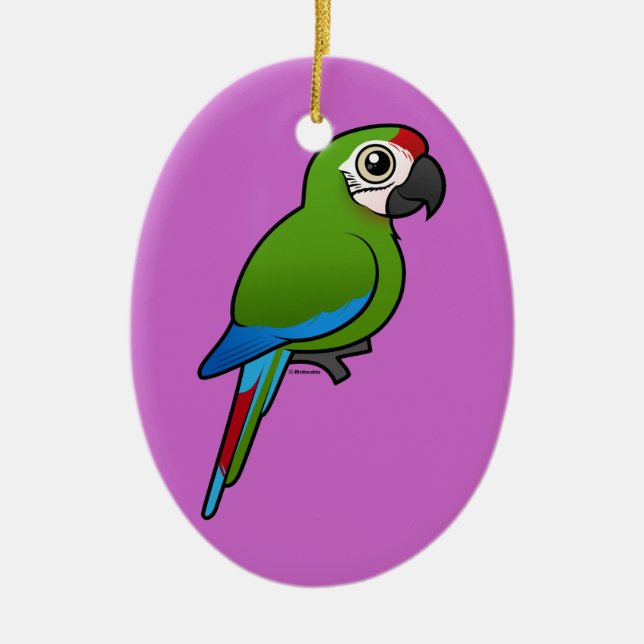 Military Macaw Ceramic Tree Decoration (Front)