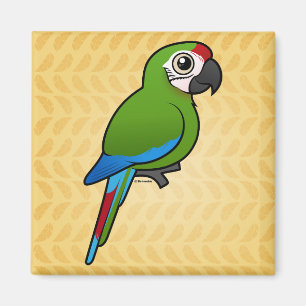 Military Macaw Magnet