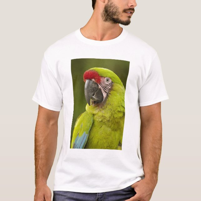 Military Macaw T-Shirt (Front)
