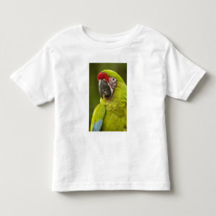 Military Macaw Toddler T-Shirt
