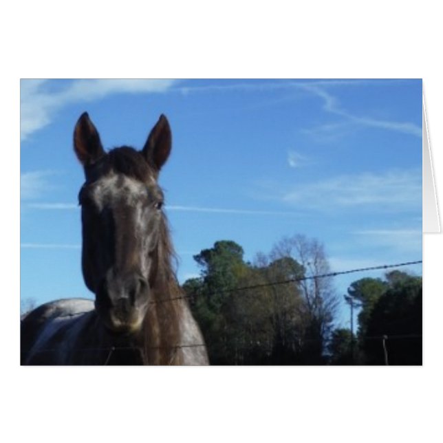 Milk Chocolate Brown Horse in Blue (Front Horizontal)