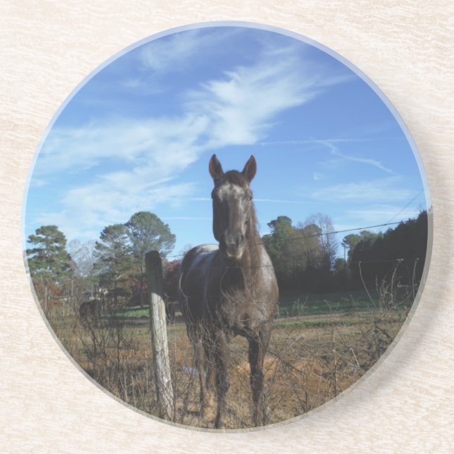 Milk Chocolate Brown Horse in Blue Coaster (Front)