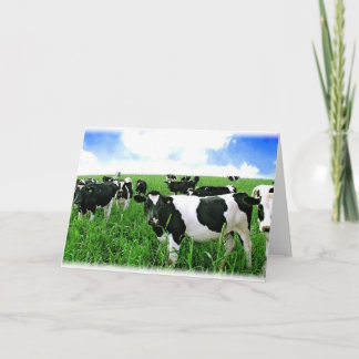 Milk Cows in Green Feild Card